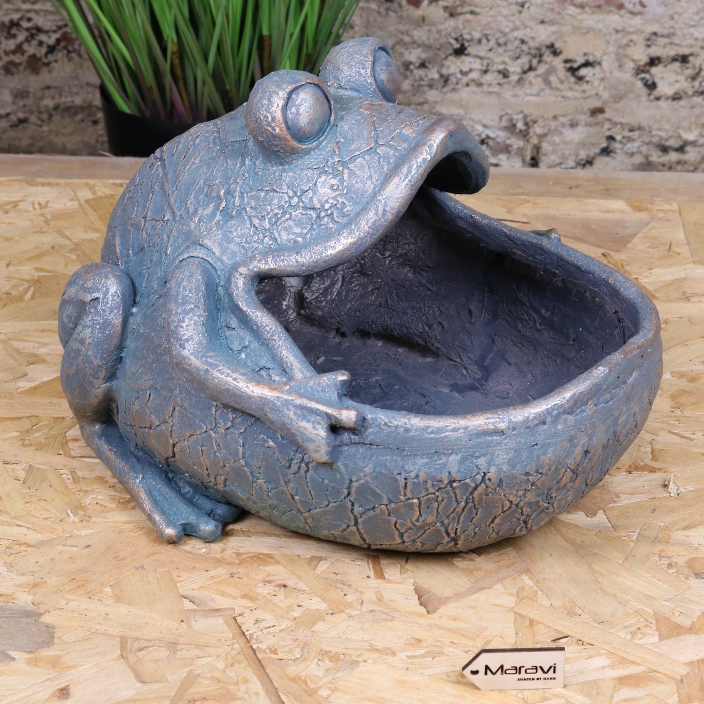 Bari Frog Planter - Main Image