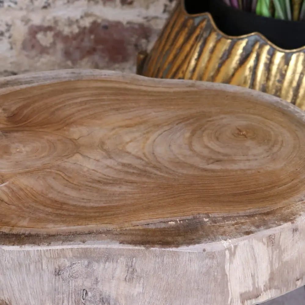 Tree Root Plant Stand Table - Closeup of Tabletop