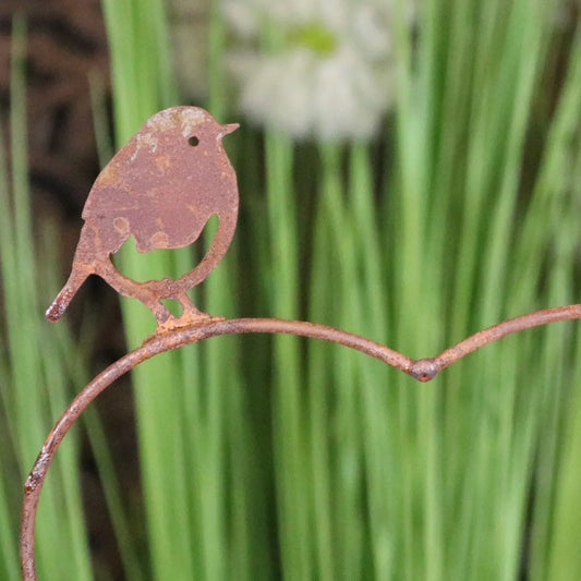 Virala Heart Shape Bird Feeder Rusted Metal Finish - Closeup of Bird