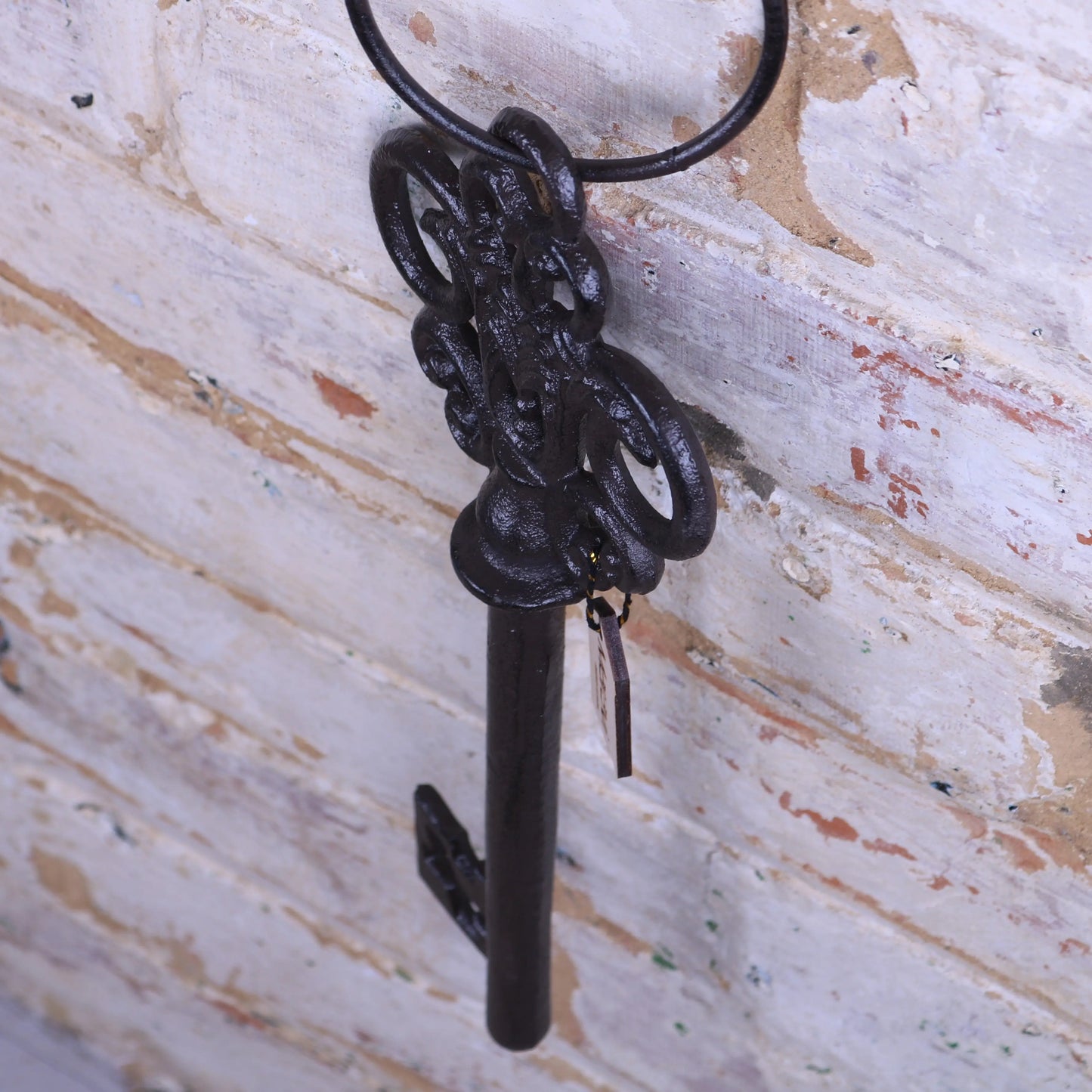 Bofli Ornamental Giant Key Top View