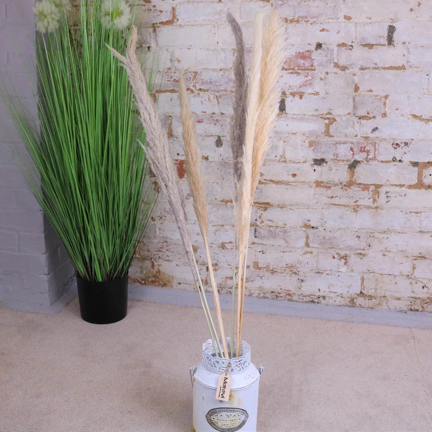 Pampas Grass Pack of 6 Light and Dark Long Stems Main Image