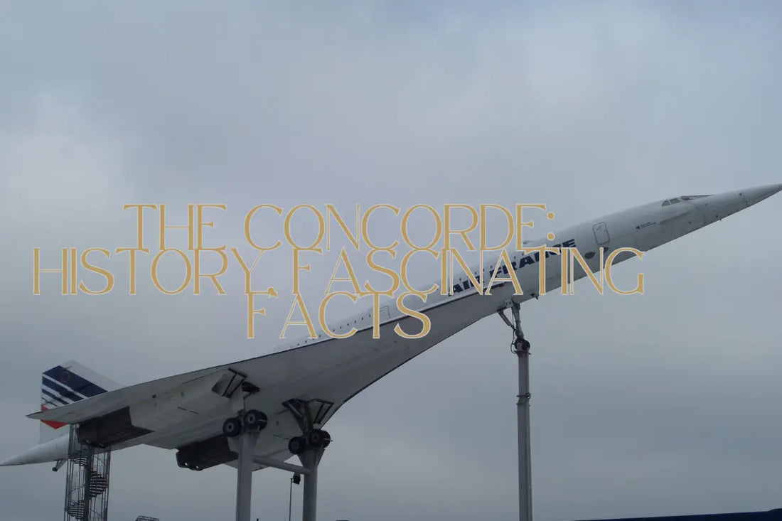 Why Concorde The Concorde: History, Fascinating Facts, Bring the Model Home – Maravi