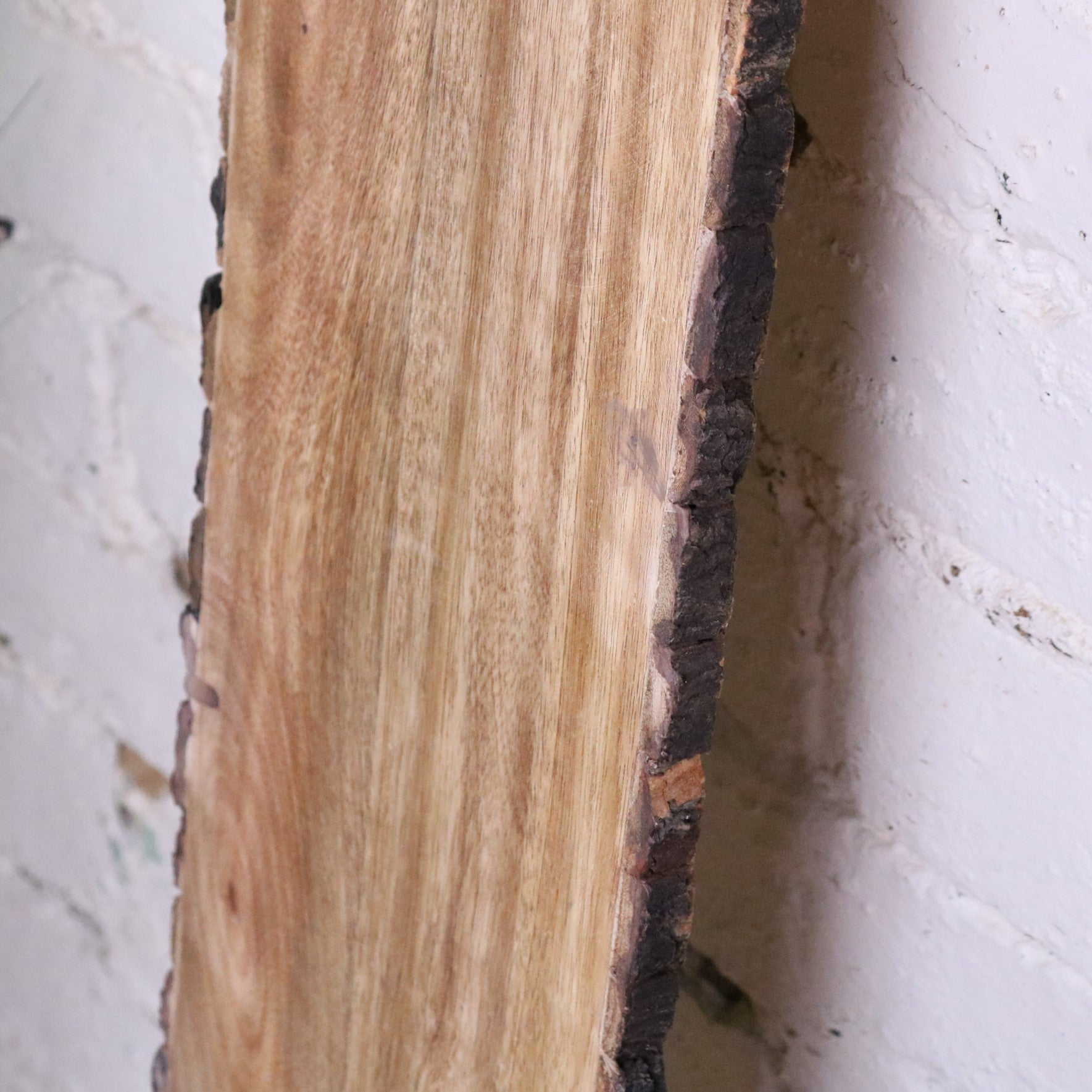 Bhimra Wooden Long Serving Board 101cm Bark Edge - Side View with Closeup of Bark Edge