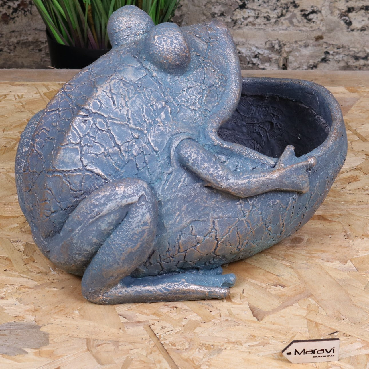 Bari Frog Planter - Side View