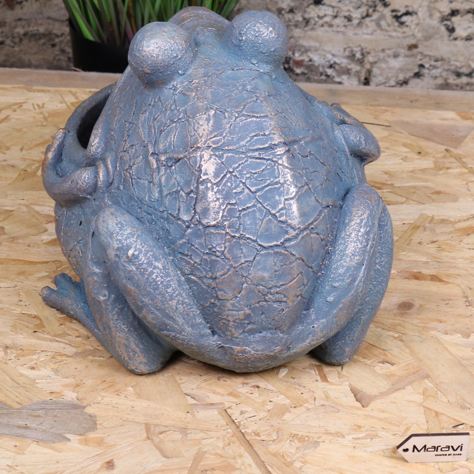 Bari Frog Planter - Rear View