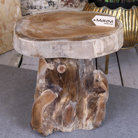 Tree Root Plant Stand Table - Main Image