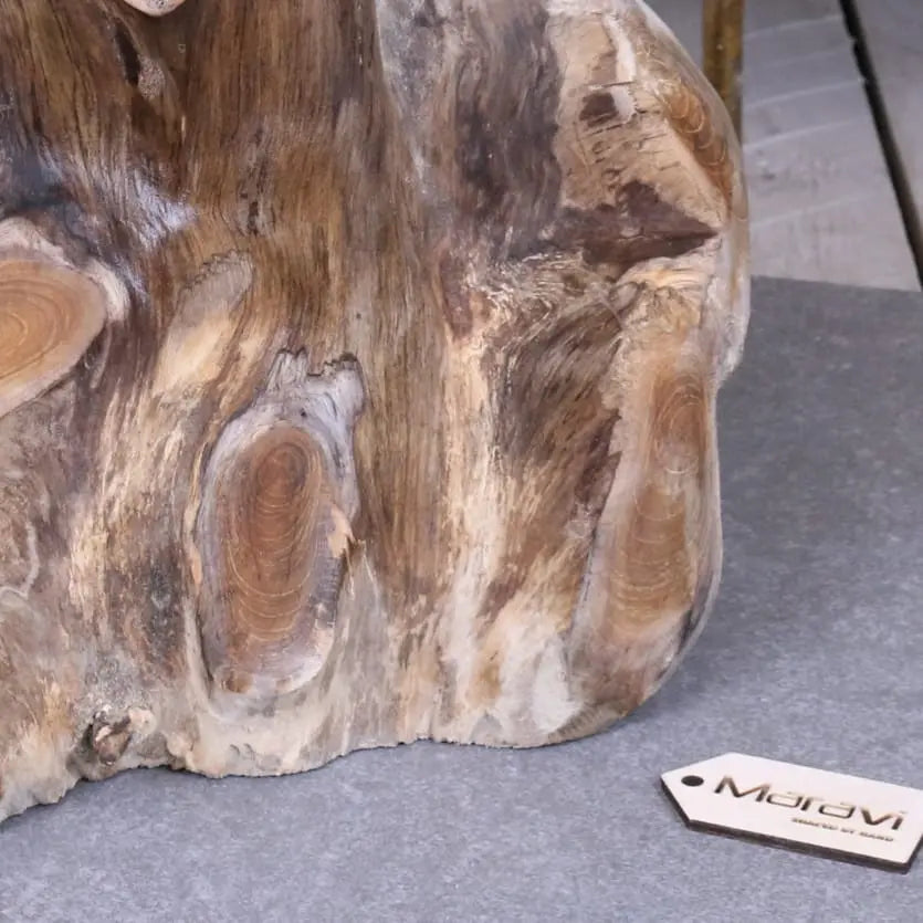 Tree Root Plant Stand Table - Closeup of Base