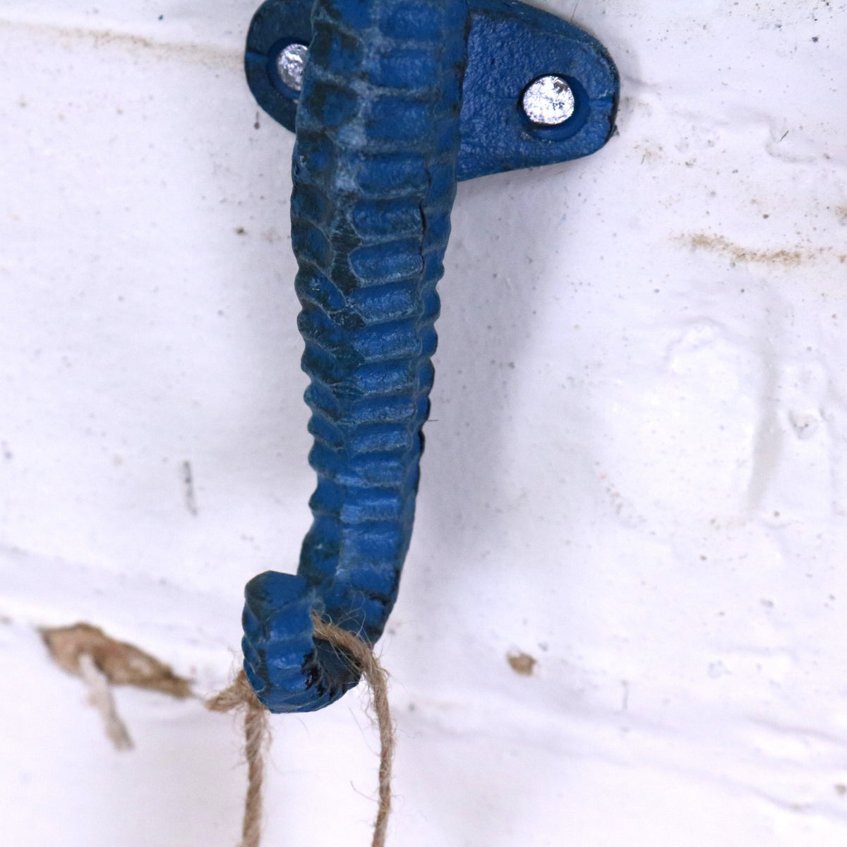 Set of 3 Seahorse Coat Hook - Closeup of Tail